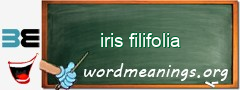 WordMeaning blackboard for iris filifolia